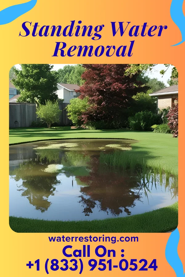 Standing Water Removal in Lawrenceburg, KY